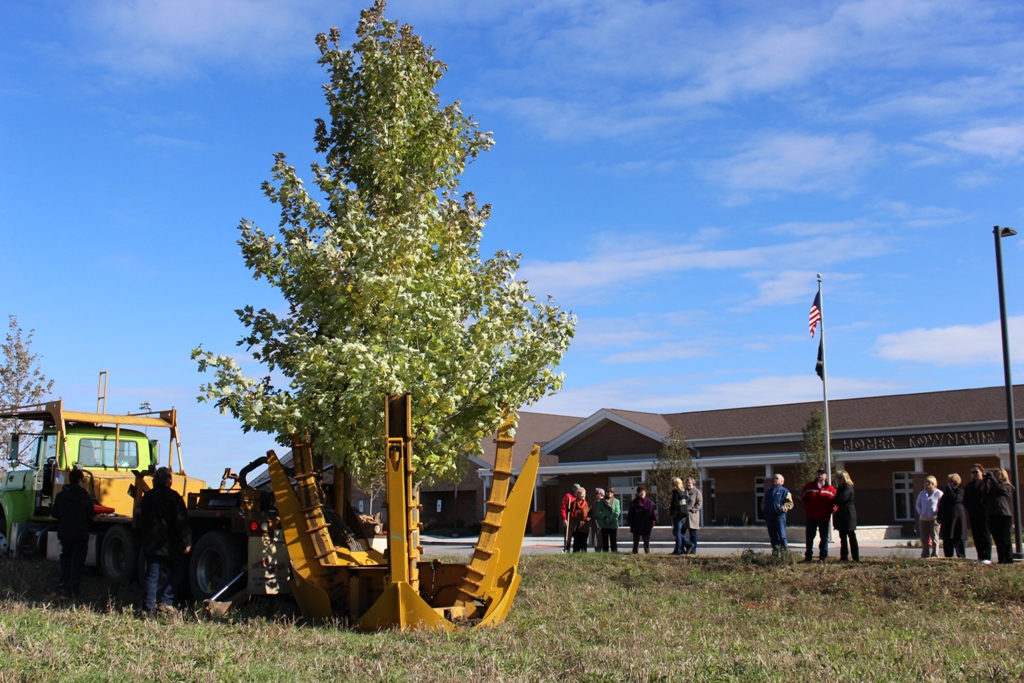 Tree in Ground Shows Equipment and People